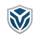 i want you to make a logo, the logo i want is going to say "Protected Vigor" 